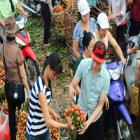 Agro-forestry-fishery sector seeks new export opportunities