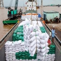 China increases rice imports, a good opportunity for Vietnam