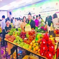 Hanoi promotes provincial products to meet residents’ demand