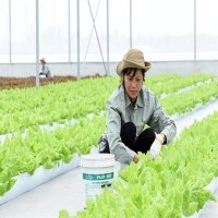 Japanese boost investment in Vietnamese agriculture