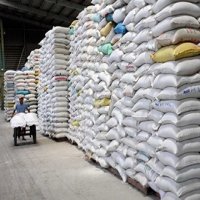 Kim ngạch xuất khẩu gạo Việt Nam sang Malaysia tăng đột biến