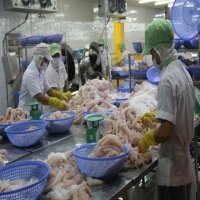 Mekong Delta provinces experience export growth
