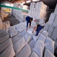 Philippines có thể nhập khẩu thêm 250.000 tấn gạo từ Việt Nam