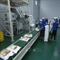 Rice exports to EU quadruple in Q1