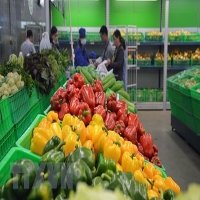 Việt Nam là thị trường cung cấp rau củ lớn thứ 2 cho thị trường Đài Loan