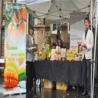 Vietnam’s frozen sapodilla fruit promoted in Australia