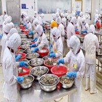 Vietnam’s seafood exports down 10% due to coronavirus impact