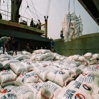 Vietnam strives for added rice export value