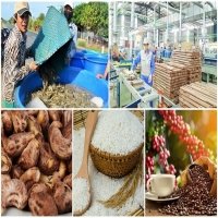 Xuất khẩu 7 loại nông sản tăng mạnh