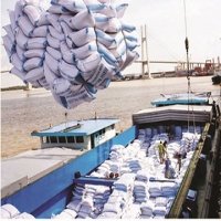 Xuất khẩu nông, thủy sản tự tin đạt mục tiêu 41 tỷ USD