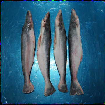 Cá Basa Phi Lê Xuất Khẩu