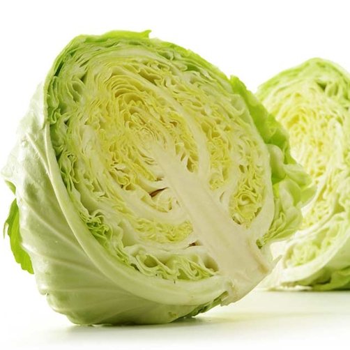 Bắp Cải Hữu Cơ