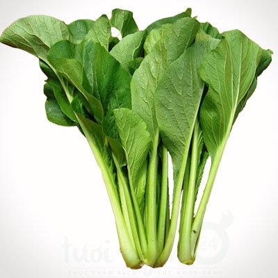 Cải Ngọt Hữu Cơ