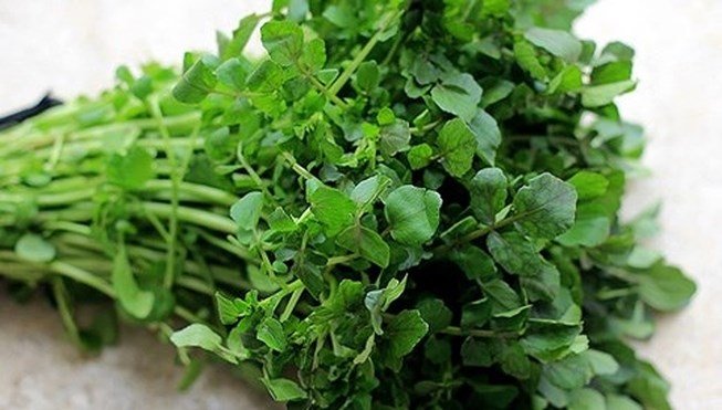 Cải Xoong Hữu Cơ
