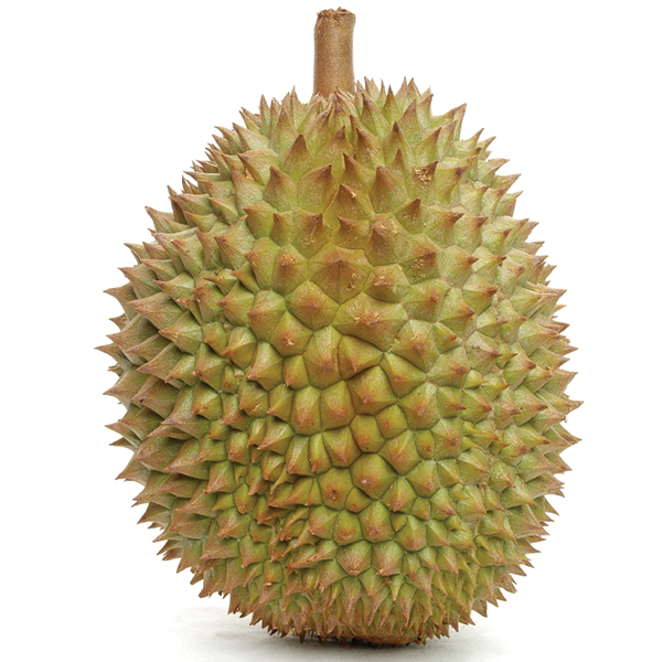 FRESH DURIAN FROM VIET NAM