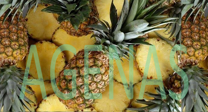 Fresh Pineapple