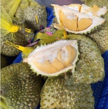 Frozen Durian From Viet Nam