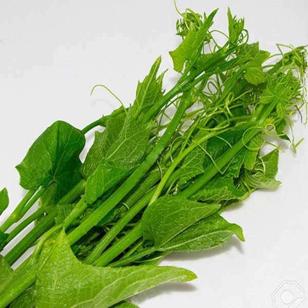Ngọn Su Su Hữu Cơ