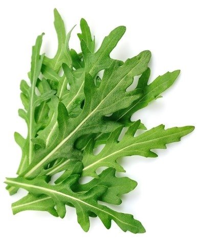 Rau Arugula Hữu Cơ